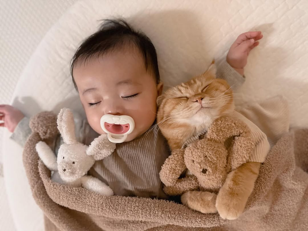 0΂̂ЂȂɘr2΂̌ZL܂邭(Instagram/@hinamaru_channel) 