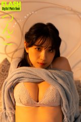 ��(C)������/�T��FLASH �ʐ^���ؑ��N�v 