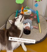 �v�[�����[�̂ʂ�����݂��C�ɂȂ�Ziggy����i��bokumarley���j 