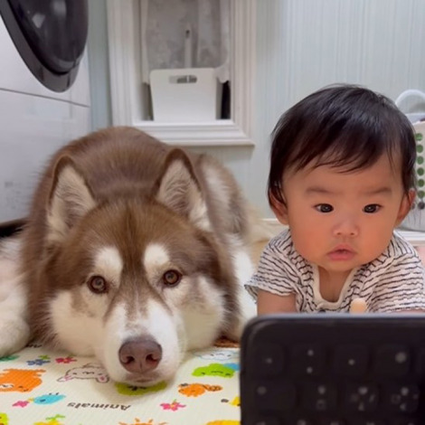 �����I�y�玙�̋~����c�Ԃ����������Ziggy����i��bokumarley���j 