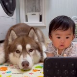 �����I�y�玙�̋~����c�Ԃ����������Ziggy����i��bokumarley���j 