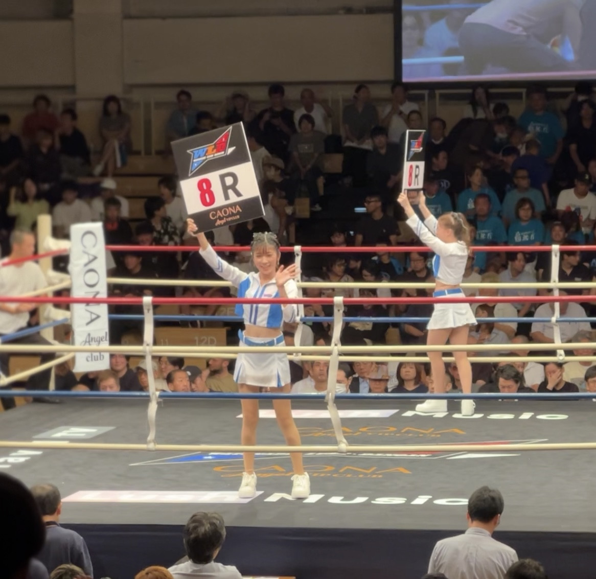 8Eh=jŔNEhK[Ƃăfr[𒆊w2NEMIU 