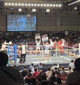 4Eh=jŔNEhK[Ƃăfr[𒆊w2NEMIU 