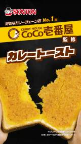 �wCoCo��ԉ��ďC�J���[�g�[�X�g�xWeb���� 