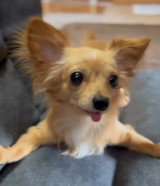 ܂OɏQ̂`bNX̂܂ߋg(Instagram/@mamekichi_1128) 