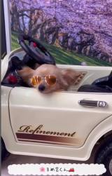 ܂OɏQ̂`bNX̂܂ߋg(Instagram/@mamekichi_1128) 