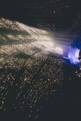 �w����������ăx�r���^���x�̖͗l�@�ʐ^�FTaku Fujii 