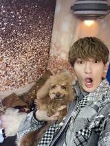 SixTONES�W�F�V�[�A�J�[�i�r�̐���ɋ��u�}�W�Ńs���Ƃ��Ȃ��v �g���A�Ȑl���h�Ƃ�LINE���� 