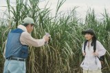 伊藤沙莉主演『風のマジム』本編映像公開 沖縄の言葉が温かい肥後克広との共演シーン