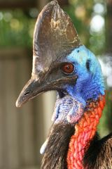 �f��w�΋򒹂��A�򂤁x�v���Ďs���ރZ���^�[�̃q�N�C�h������`�����ɏA�C�i�b�j2025�u�΋򒹂��A�򂤁v�������@�@�z���F KADOKAWA�A�M���K 