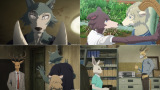 Netflix�V���[�Y�uBEASTARS FINAL SEASON�vPart1:�Ɛ�z�M���APart2:2026�N�Ɛ�z�M/(C)�_�b��(�H�c���X)/���� 