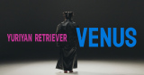 YURIYAN RETRIEVER�uVenus�v�~���[�W�b�N�r�f�I��� 