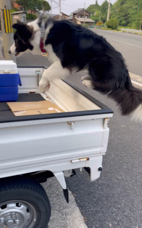 �ב�փW�����v�^�����傳��摜�� 