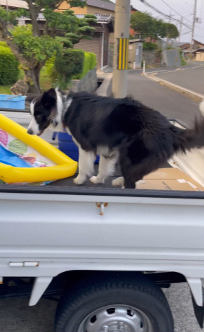 �ב�ɒ��n�����߂��r�X����^�����傳��摜�� 