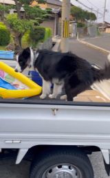 �ב�ɒ��n�����߂��r�X����^�����傳��摜�� 