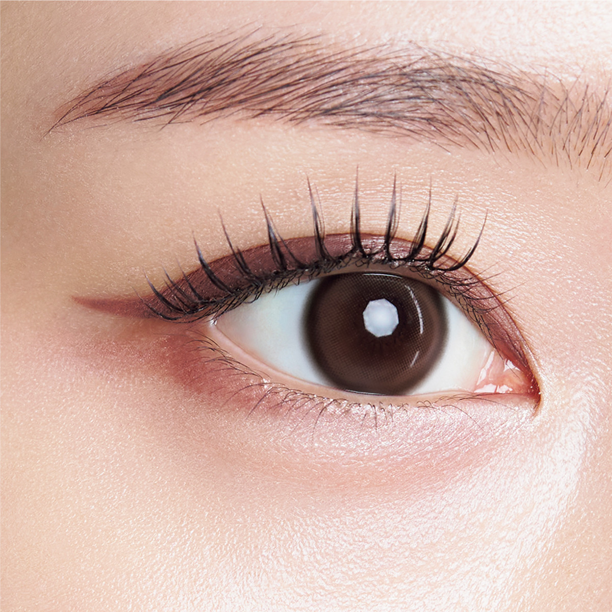 yԁzLA AC`[jOCi[ qACCi[rgp 