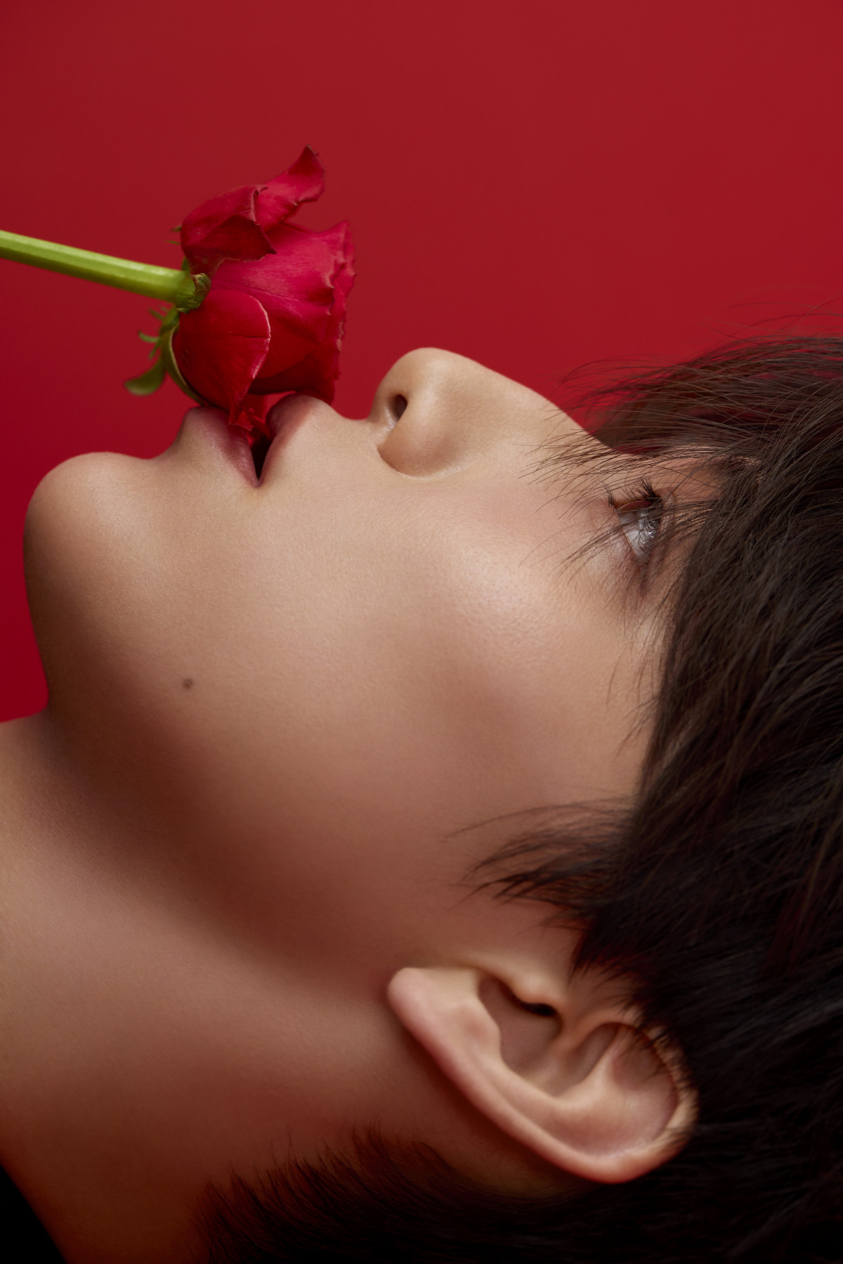 wLaline()xtOXuWarm Vanillav^CAbvLy[ɋNpꂽONE Nf ONLYEDl 