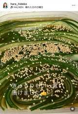 �����o�q�u#���Ƃ��сv�@�i�ʐ^�̓C���X�^�O���� @hara_hideko ���j 