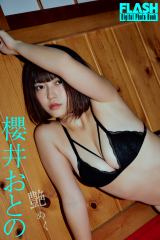 �N�䂨�Ƃ�(C)������/�T��FLASH �ʐ^���X�R���l(TRIVAL) 