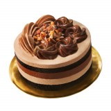 �uBEFIRST BEST�V���R���P�[�L�v 