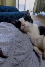 �D�w�̂����Ɋ���X���X���A�g�Ԃ����҂��Ă�h�L����񂪑����u�킩��񂾂ɂ�v 