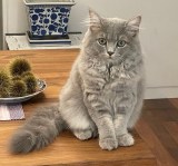 TJLE~B́g₷݃jhVbg(ʐ^̓uO) 