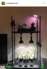 �䂪�ƁE�ؑq�R�K�u�Ȃ�Ƃ����z�ɋ߂��i�������p�A���琬�I�����v(�ʐ^�̓C���X�^�O���� @y.tsubokura ���) 