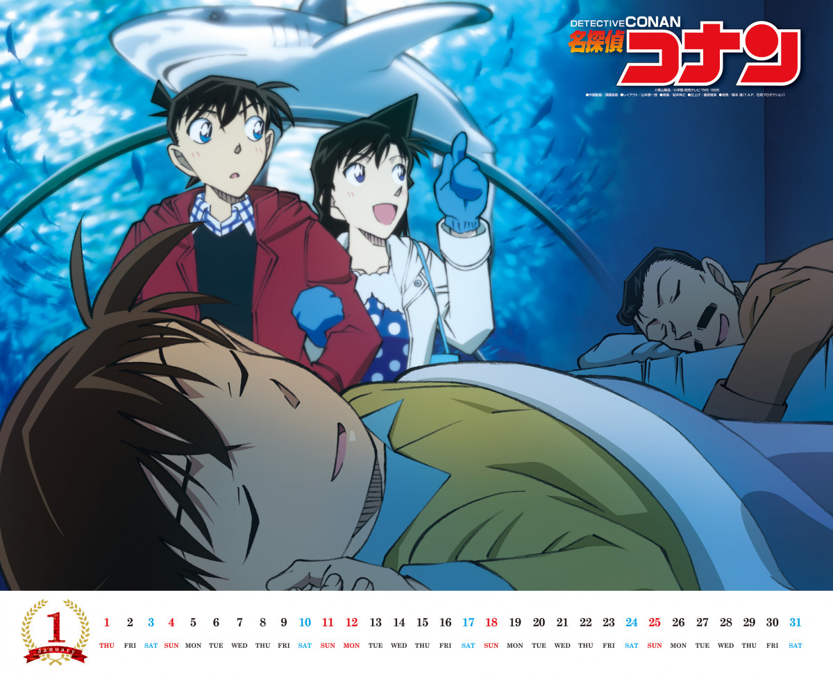 【新品未開封】名探偵コナン 劇場版 16作品セット アニメ 12798-144-