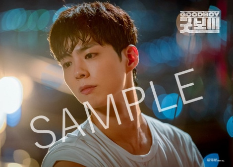 ���T�摜�iSAMPLE����j�iC�jSLL 