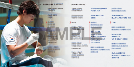 �؍��h���}�w�O�b�h�{�[�C�x�A���{��OST��10�E1�����iC�jSLL 