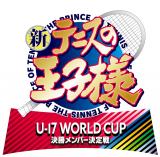 VAjwVejX̉ql U-17 WORLD CUP o[x쌈 iCj㍄^WpЁEm`rEVejX̉qlvWFNg 