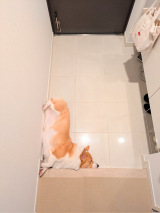 ܂ũegXv(摜:@komachiaya_) 