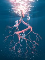 �V�i�C�s��3�l�g���j�b�gtayori�A2nd�A���o�������[�X�u�������̉��y���A������ʂ閂�@�ɂȂꂽ�炤�ꂵ���ł��v�y�C���^�r���[�z 