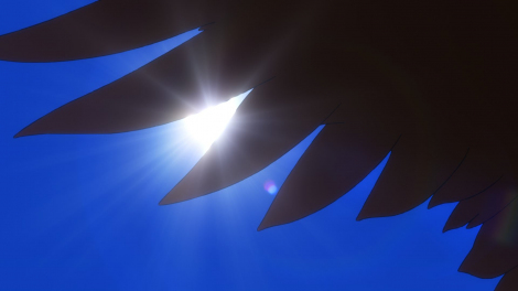 �w���̗E�҂̐���オ��x��5�����쌈�� 