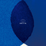 サカナクション　kikUUiki　レコード アナログ Amazon.co.jp: サカナクション kikUUiki レコード2枚組 : ホーム