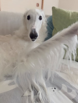 XAJEgE@Tifa_yaon̈EeBt@(ʐ^X) 