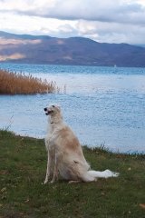 XAJEgE@Tifa_yaon̈EeBt@(ʐ^X) 