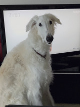 XAJEgE@Tifa_yaon̈EeBt@(ʐ^X) 