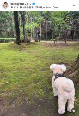 �������؁A�v�E�������Ɓu�h���C�u���Ă��܂����v (�ʐ^�̓C���X�^�O���� @katoayana0412 ���) 