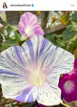 A~JIԁX炭K[fjO (ʐ^̓CX^O @ahnmikaofficial ) 