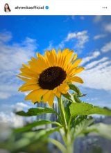 A~JIԁX炭K[fjO (ʐ^̓CX^O @ahnmikaofficial ) 