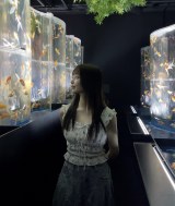 ���݂̂؂؂݂���(@pepemi000���) 