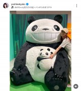 Fqu2025NĂ̎Oÿ݂ł!v(ʐ^̓CX^O @yoshinekyoko ) 