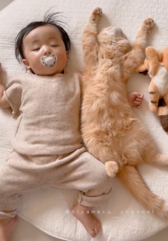 ����0�΂̂ЂȂ���ɘr�������2�΂̌Z�L�܂邭��iInstagram�^@hinamaru_channel�j 