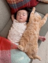 ЂȂɘrZL܂邭(Instagram/@hinamaru_channel) 