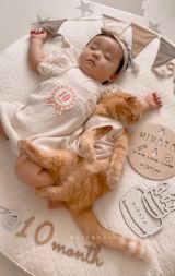 ЂȂɘrZL܂邭(Instagram/@hinamaru_channel) 