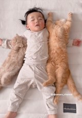 2΂ɂȂЂȂɘrZL܂邭ƒL̓(Instagram/@hinamaru_channel) 