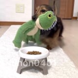 �u�H�ׂă���!�v�ʂ�����݂ɂ��т�H�ׂ������������V�g������u�ꏏ�ɐH�ׂ�Ɣ����������!�v 