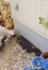 �܂��͊�b�O�̏��΂��ǂ����c(�ʐ^��@miekinoco) 