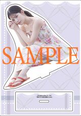 �w�c���������ʐ^�W reveal�x10��6������ 